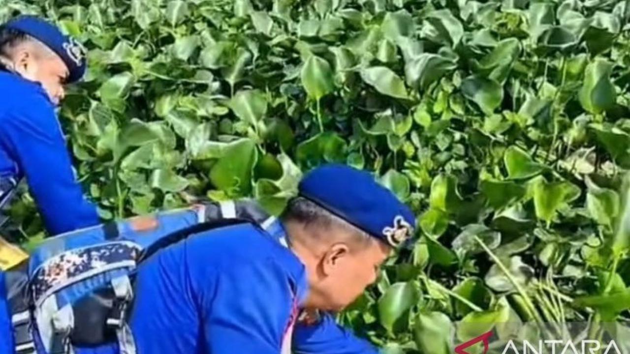 Polrestabes Palembang Olah Eceng Gondok Jadi Pakan Ikan Bernilai Ekonomis Lewat Program Pakan Ikan Presisi