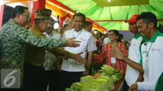 Wapres Jusuf Kalla (dua kiri) didampingi Direktur APP Sinar Mas Suhendra Wiriadinata dan Head of External Relation Sinar Mas Forestry Edi Haris melihat hasil program Desa Makmur Peduli Api di Kabupaten Siak, Riau (22/7). (Liputan6.com/Faizal Fanani)