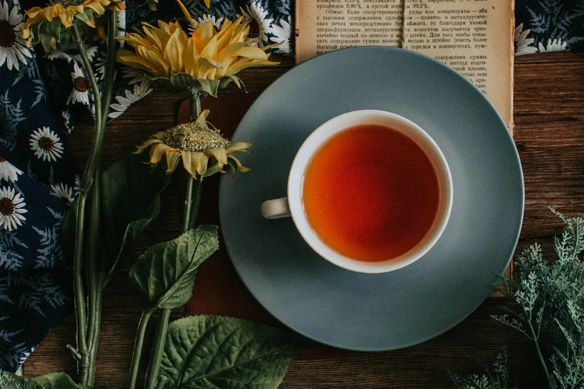 Rajin Minum Teh Bisa Memberi Manfaat Anti Anging