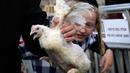 Seorang pria Yahudi ultra-Ortodoks memegang ayam untuk diayunkan di atas kepala keluarganya sebagai bagian dari ritual Kaparot di Yerusalem, Rabu (23/9/2020). Ayam ini kemudian akan disembelih menjadi pengganti seseorang tersebut sebagai penebusan untuk dosa-dosanya.  (AP Photo/Maya Alleruzzo)