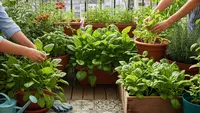 10 Ide Kebun Keluarga yang Bisa Panen Sedikit Demi Sedikit Setiap Hari, Siap Mandiri Pangan