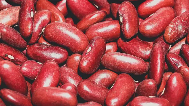 Kacang merah salah satu makanan yang mengandung zat besi untuk bayi