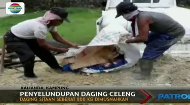 800 kilogram daging celeng yang hendak diselundupkan dari Bengkulu dimusnahkan  Balai Karantina Pelabuhan Bakauheni, Lampung.