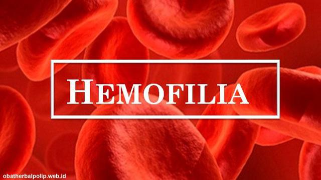 Hemofilia adalah