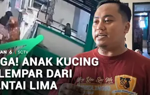 Tega, Anak Kucing Dilempar dari Lantai Lima
