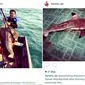 Seorang pria dikecam masyarakat setelah mengunggah foto membunuh ikan hiu