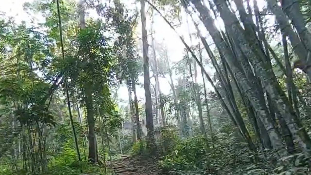 Suasana pagi di Kampung Baduy
