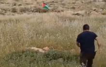 Saking Bencinya Sampai Tendang Bendera Palestina, Pria Israel ini Langsung Kena Karma