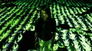 Seorang wanita dari Teamlab Jepang berpose di ruang instalasi digital di Mori Building Digital Museum Seni, Tokyo, Jepang (1/5). (AFP Photo/Behrouz Mehri)