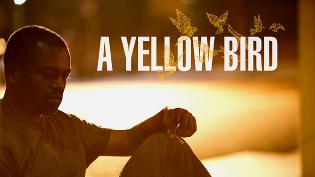 A Yellow Bird (2016)