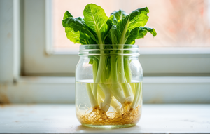 Sayuran yang bisa ditanam kembali di air (Foto: Reve Art AI)