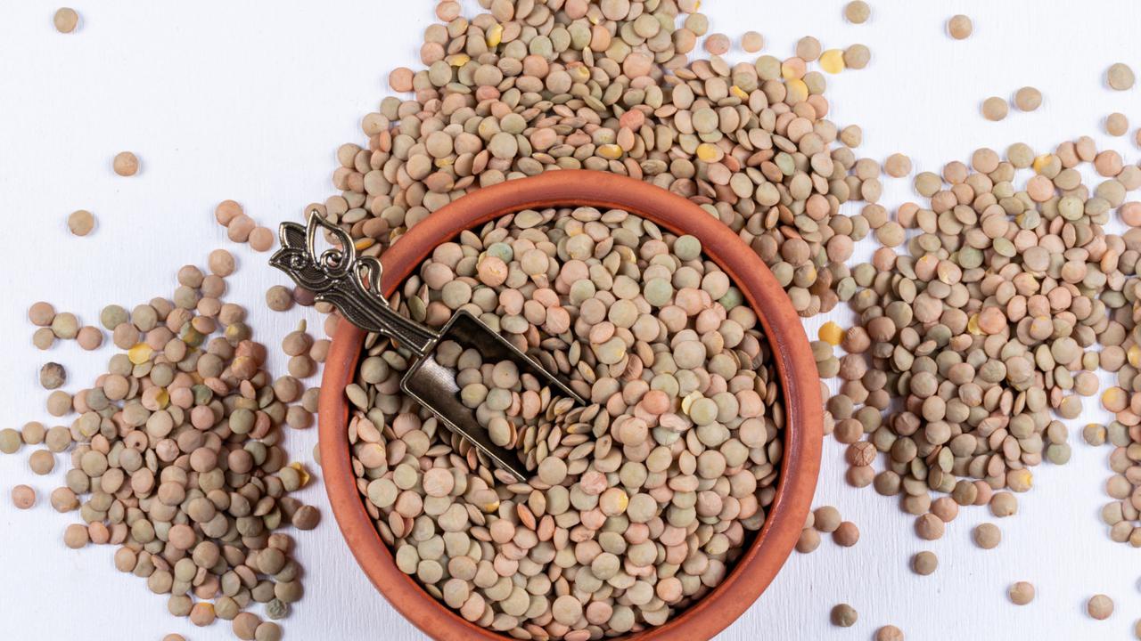 Ilustrasi Kacang Lentil