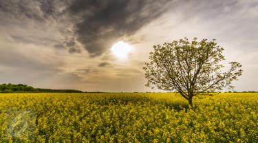 Hasil gambar untuk pancaroba