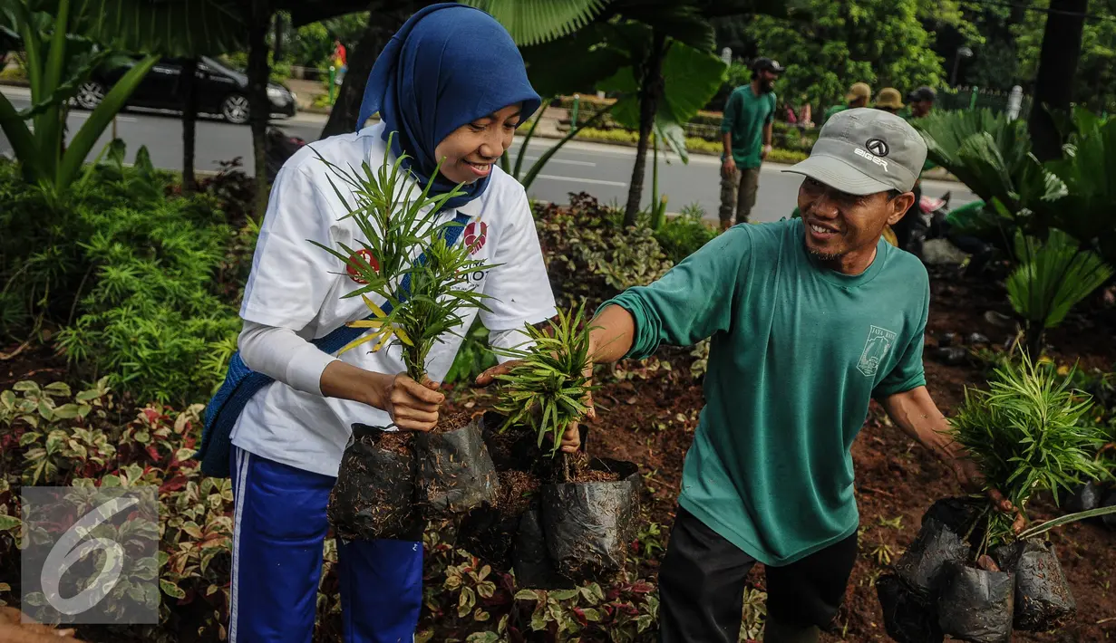 Petugas memberikan tanaman kepada Relawan Dulure Djarot di depan Balai Kota, Jakarta, Minggu (16/10). Aksi tersebut untuk memperbaiki taman yang rusak akibat demostrasi beberapa waktu lalu.(Liputan6.com/Faizal Fanani)