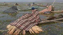 Nelayan Kashmir beralaskan jerami dan menutupi sebagian tubuhnya ketika menangkap ikan di Danau Anchar, pinggiran Srinagar, India, 28 Desember 2017. Cara unik itu merupakan taktik mereka untuk menangkap ikan. (TAUSEEF MUSTAFA/AFP)