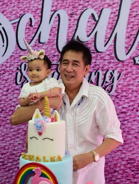 Terlihat dari foto-foto di akun Instagramnya, sangat sering Sys mengabadikan momen bahagia bersama dua orang cucu yang sangat menggemaskan dan pastinya menjadi obat penawar lelah di tengah kesibukannya. (Instagram/Sys_Ns)