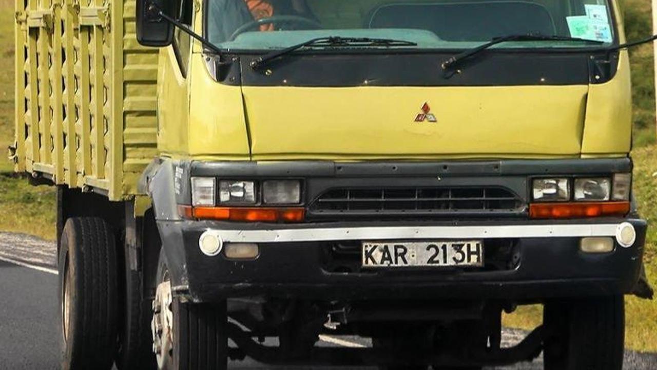 Jenis Truk di Indonesia, Lengkap Beserta Penjelasan dan Kapasitasnya