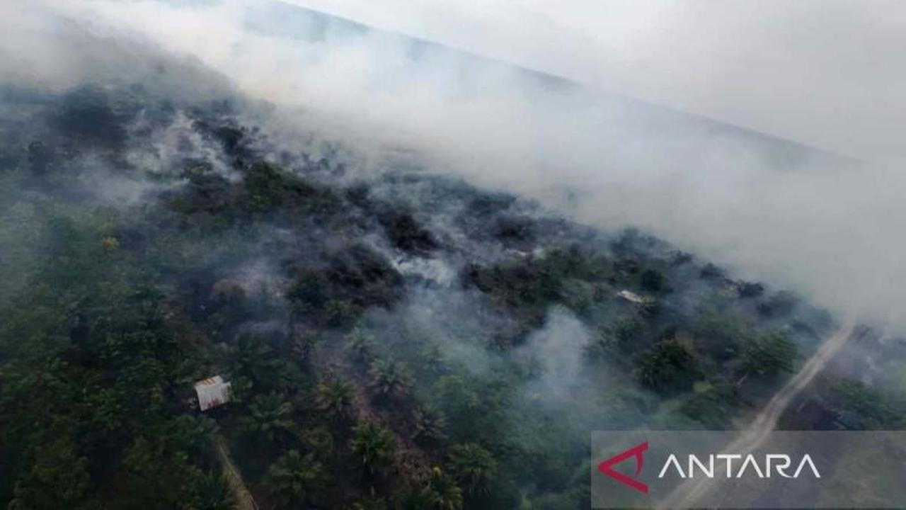 BPBD Aceh Barat Kerahkan Personel Padamkan Kebakaran Lahan di Meulaboh