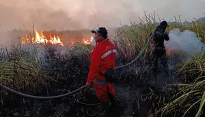 Kebakaran Way Kambas Belum Usai, Titik Api Kembali Muncul