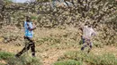 Dua orang pria dikelilingi kawanan belalang gurun di dekat Desa Sissia, Samburu, Kenya, Kamis (16/1/2020). Serbuan belalang gurun kini menjadi ancaman nyata bagi tanaman panen di sebagian Afrika Timur. (AP Photo/Patrick Ngugi)
