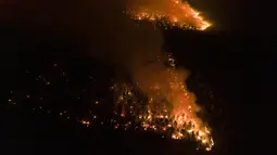 Kebakaran menghanguskan hutan di dekat Ituzaingo, provinsi Corrientes, Argentina (19/2/2022). Kebakaran terus melanda provinsi Corrientes yang telah menghanguskan lebih dari setengah juta hektar. (AP Photo/Rodrigo Abd)