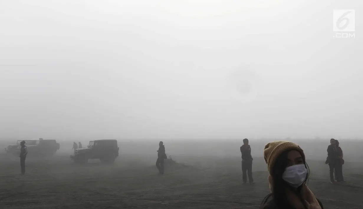 Setiap tahun, Taman Nasional Bromo Tengger Semeru tersebut dikunjungi lebih dari 500.000 wisatawan domestik dan mancanegara. (Liputan6.com/Immanuel Antonius)