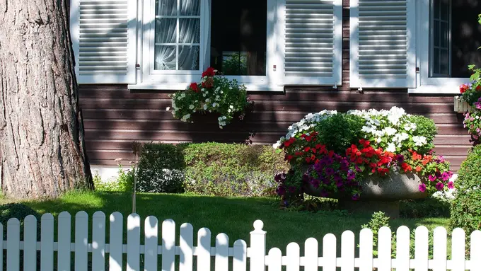 Ilustrasi tanaman bunga di samping rumah