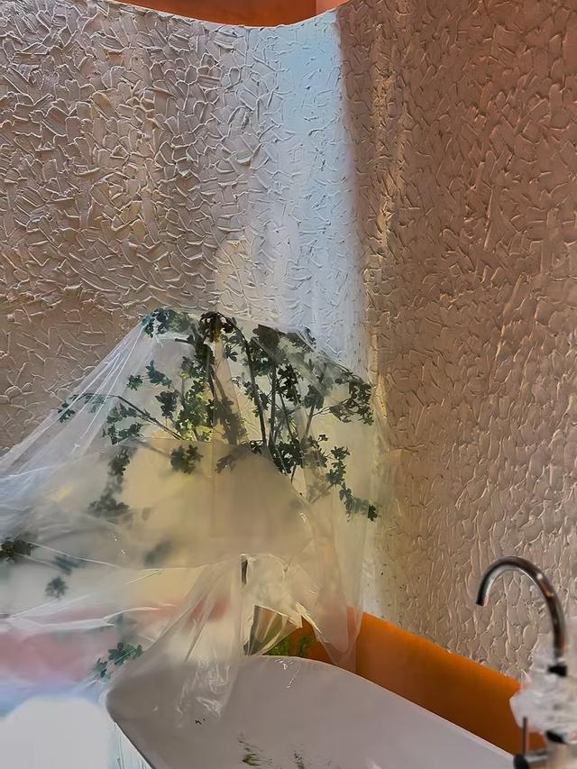 Salon Salmafina Sunan