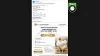 Cek Fakta: Hoaks Link Pendaftaran Bantuan Bibit Ayam Periode 21 Februari - 30 April 2026