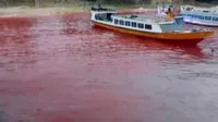 Air laut Pulau Ai, Kepulauan Banda, Maluku Tengah tiba-tiba berubah menjadi merah darah.