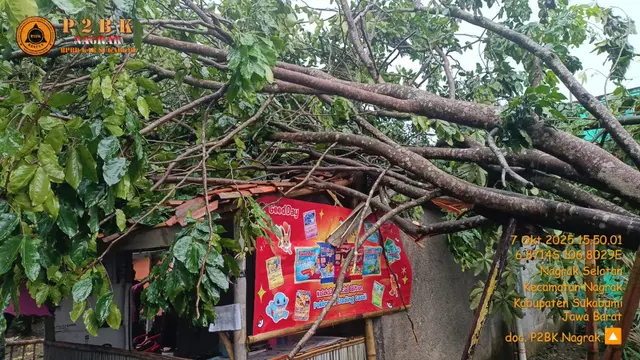 Rumah warga rusak tertimpa pohon di Nagrak, Kabupaten Sukabumi, pada Selasa (7/10/2025).