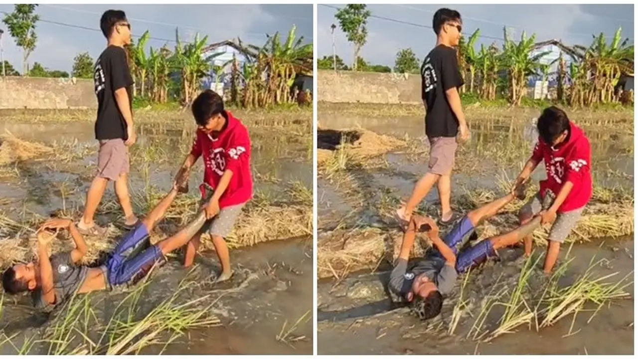 Demi Hasil Foto Menarik, Aksi Pria Rela Diseret di Sawah Ini Bikin Ngakak
