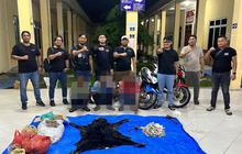 Polres Simalungun Bongkar Perdagangan Satwa Dilindungi, 30 Kg Sisik Trenggiling Disita dan Tiga Tersangka Ditangkap