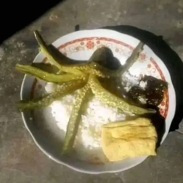 6 Potret Seafood Versi Murah Ini Nyeleneh, Tak Sesuai dengan Ekspektasi
