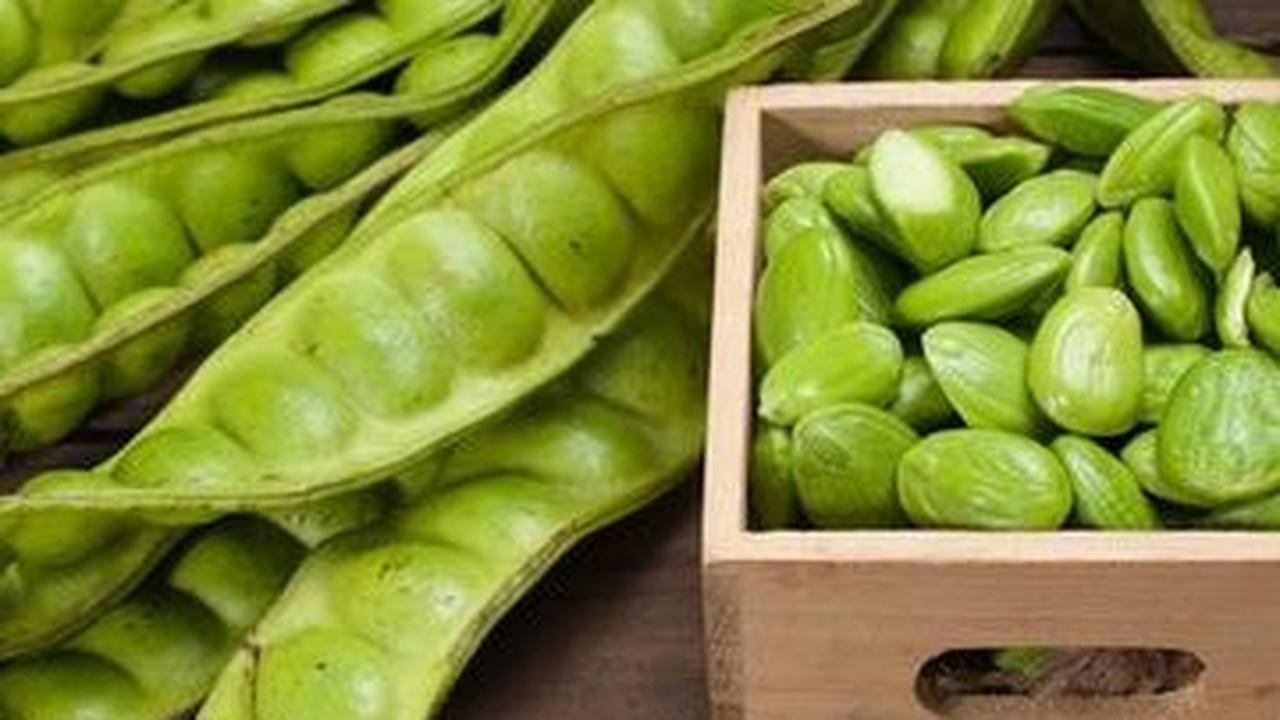 Pantangan Setelah Makan Petai