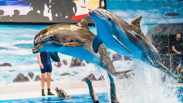 Dubai Tawarkan Liburan Spektakuler untuk Keluarga (Foto/Sumber: Eid in Dubai)