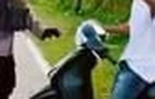 Langgar Lalu Lintas, Pria Bertato Ini Menangis Saat Ditangkap Polisi