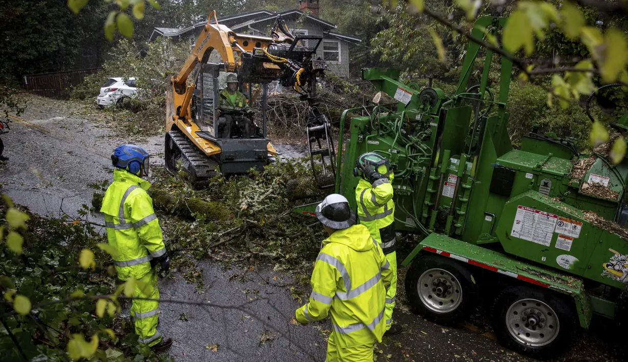 Pekerja membersihkan cabang pohon yang menghalangi Mirabel Avenue selama badai di Forestville, California, Minggu (24/10/2021). Badai kuat menerjang California Utara yang sempat mengalami kebakaran hutan, memicu tanah longsor dan banjir, juga membawa angin kencang. (AP Photo/Ethan Swope)