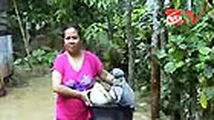 liputan6