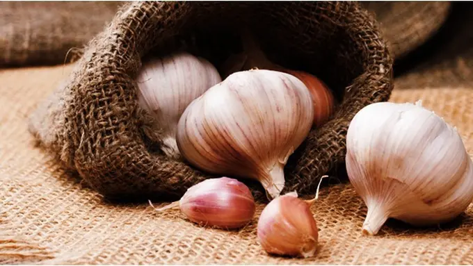 Photo: Copyright Thinkstockphotos.com