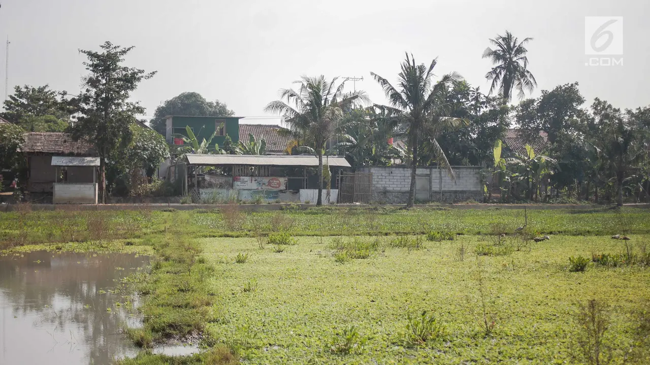 Lahan Baku Sawah