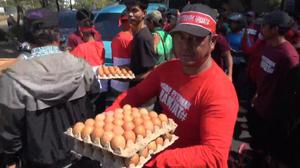 Demo Mahalnya Harga Pakan, Pengusaha dan Peternak di Sulsel Bagi-Bagi Telur dan Ayam