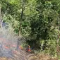 Tim gabungan berjibaku memadamkan kebakaran hutan di Gunung Panderman pada Rabu, 22 November 2023 (BPBD Kota Batu)&nbsp;