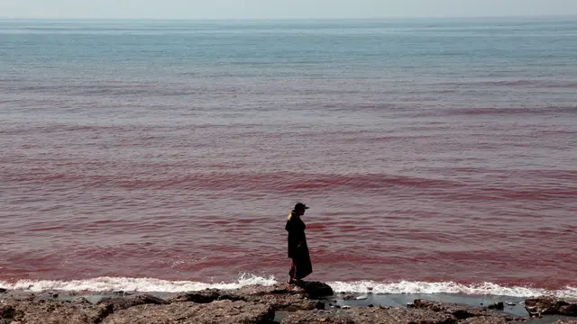 Fenomena Hujan Darah Bikin Tepi Pantai Pulau Hormuz Iran Menjadi Merah Menyala