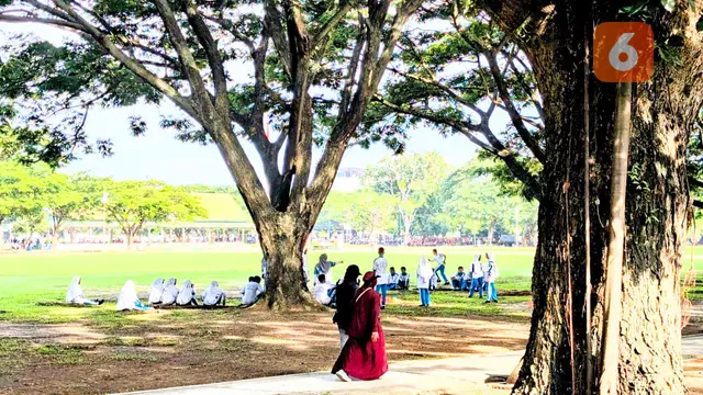 Peran Pohon untuk Jantung hingga Mental, Ahli Kesehatan Lingkungan: Seperti Menanam Oksigen
