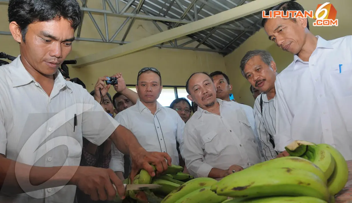  Gubernur DKI Jakarta Joko Widodo kunjungi Pasar Argo, Lampung (23/4/2014) (Liputan6.com/herman Zakharia).
