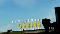 Perburuan Gading Tanah Sumatera