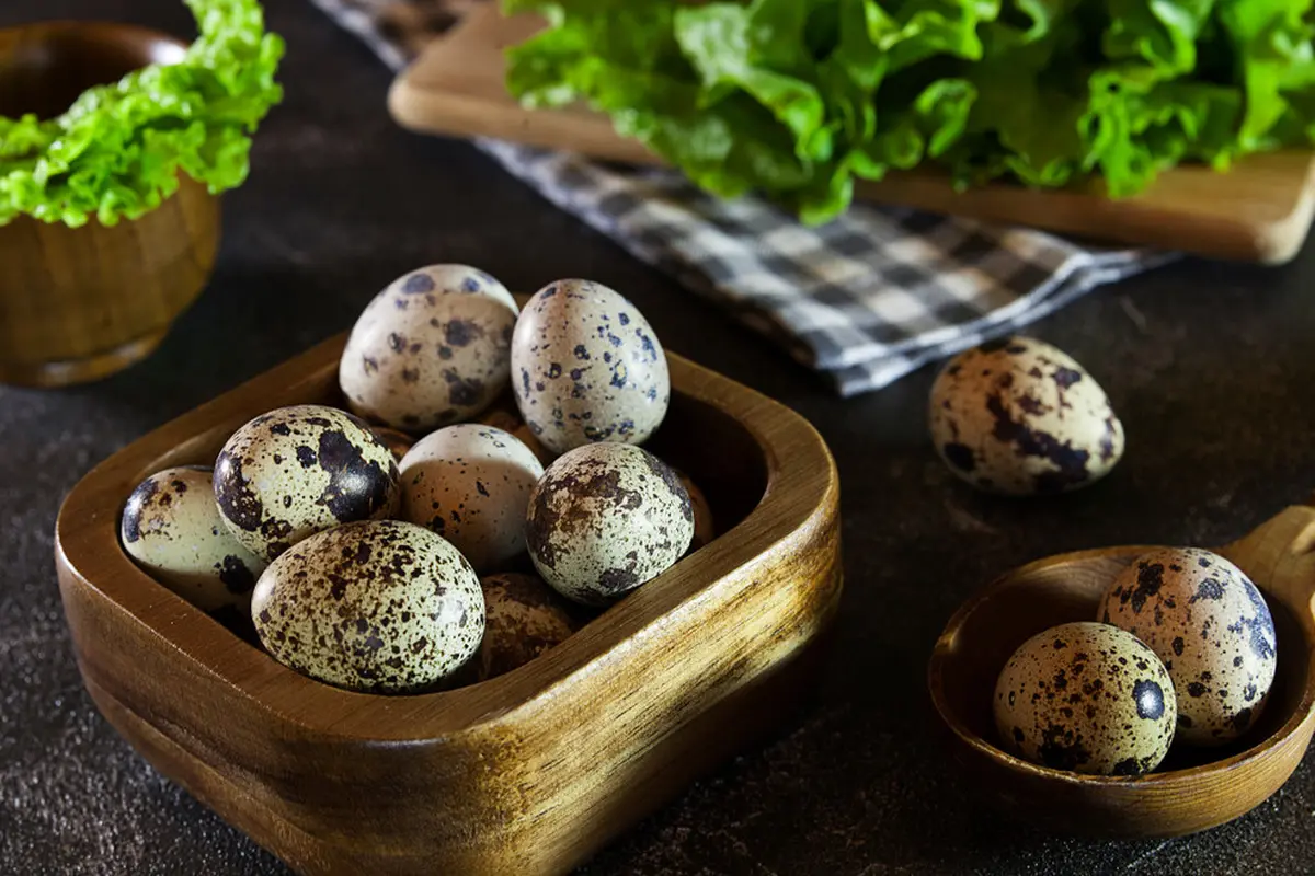 telur puyuh-kezo
