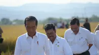 Presiden Jokowi bersama Menteri Pertanian Syahrul Yasin Limpo saat meninjau panen raya padi di Kelurahan Baji Pamai, Kecamatan Maros Kota, Kabupaten Maros, Sulawesi Selatan, Kamis, 30 Maret 2023.