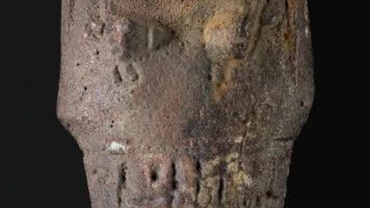 Bantu Tukang Kebun Gali Kentang, Anak Sekolah Temukan Patung Mesir Kuno Berusia 4.000 Tahun